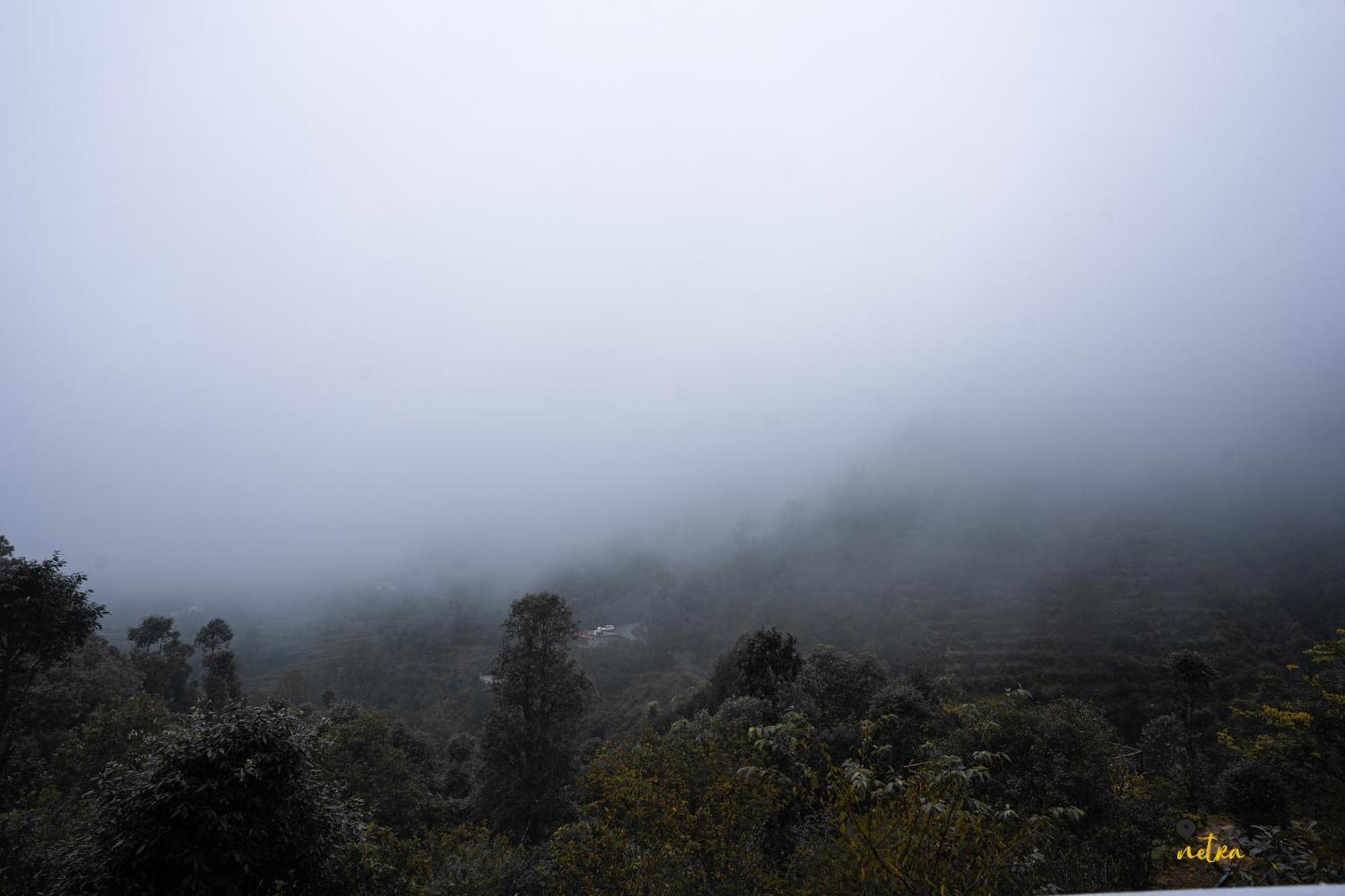 The Rare One'S Mukteshwar - Resort & Cafe Eksteriør billede