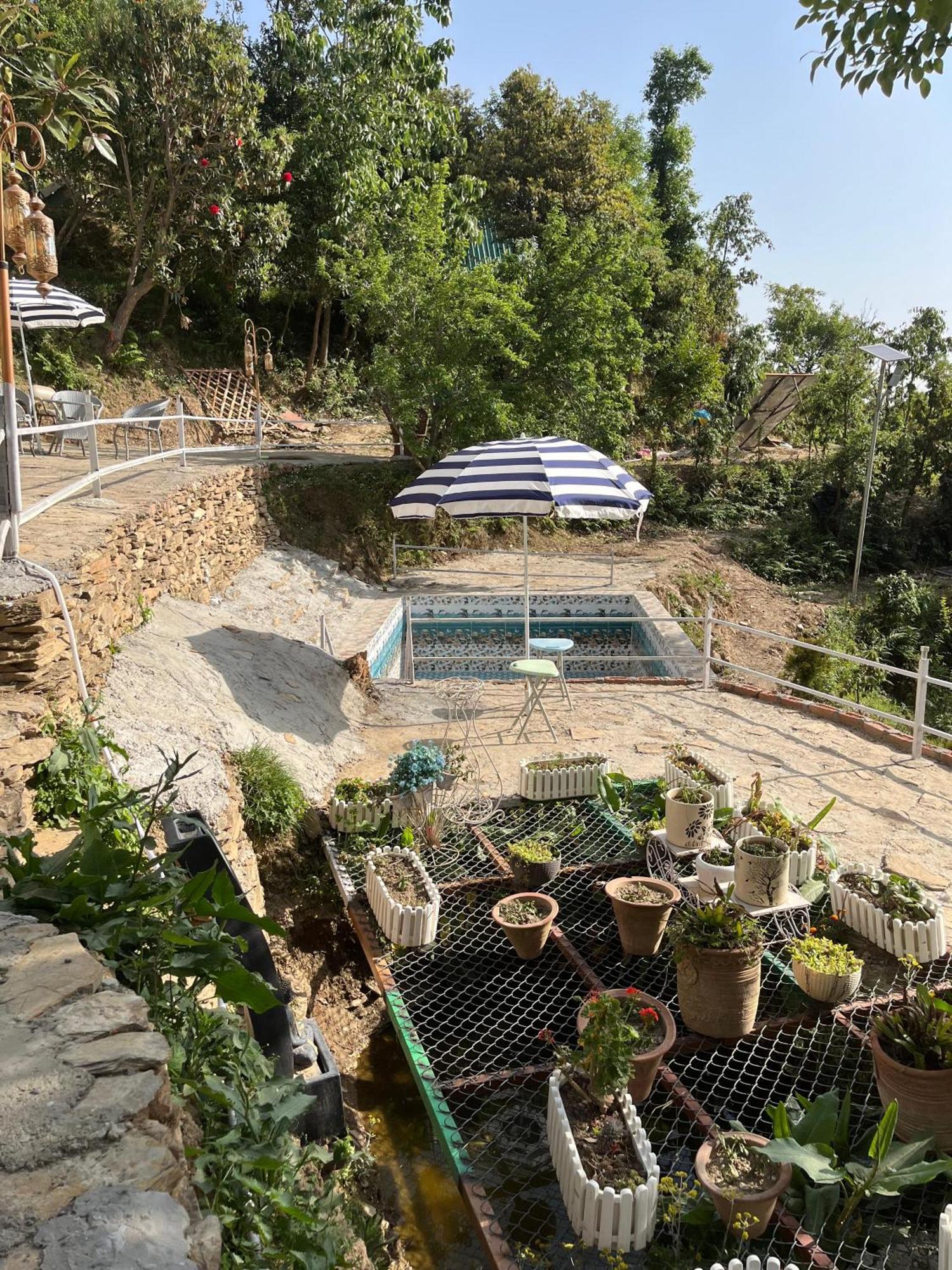 The Rare One'S Mukteshwar - Resort & Cafe Eksteriør billede